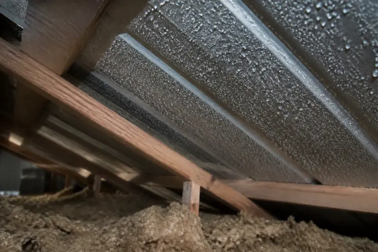 Gouttelettes de condensation visibles sous une toiture en bac acier lors d'une averse modérée dans un grenier français.