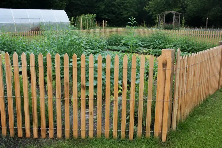 Clôture en ganivelle de châtaignier installée autour des parcelles cultivées d'un potager.